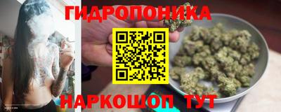 молекула духа Рузаевка