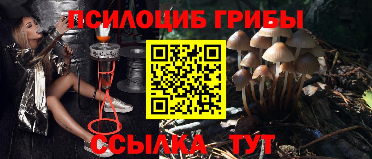 Псилоцибиновые грибы прущие грибы Фрязино