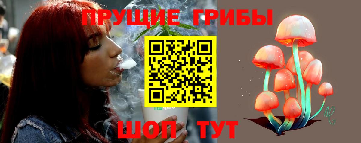 где купить наркоту  Галлюциногенные грибы GOLDEN TEACHER  Вход с VPN  Фрязино 